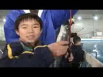 178702828_flv.jpg
